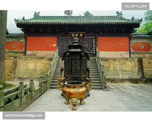 武当山道教学院增设武术养生专业 公仆杯选手可优先申请进修 武当山道教学院增设武术养生专业 公仆杯选手可优先申请进修